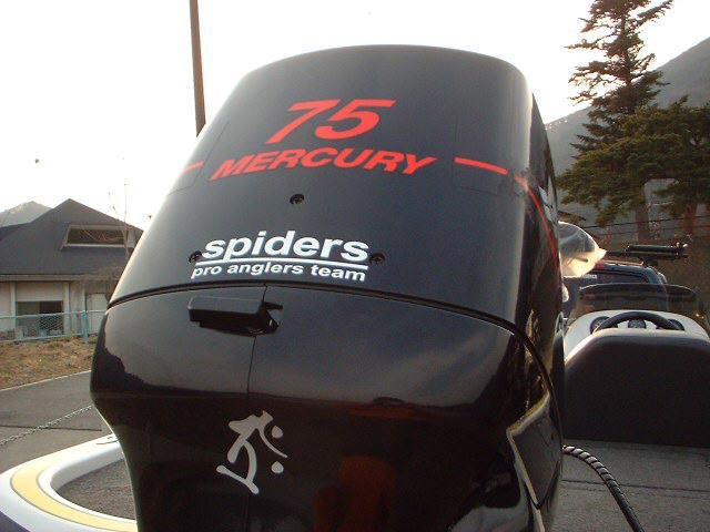 spiders 様02
